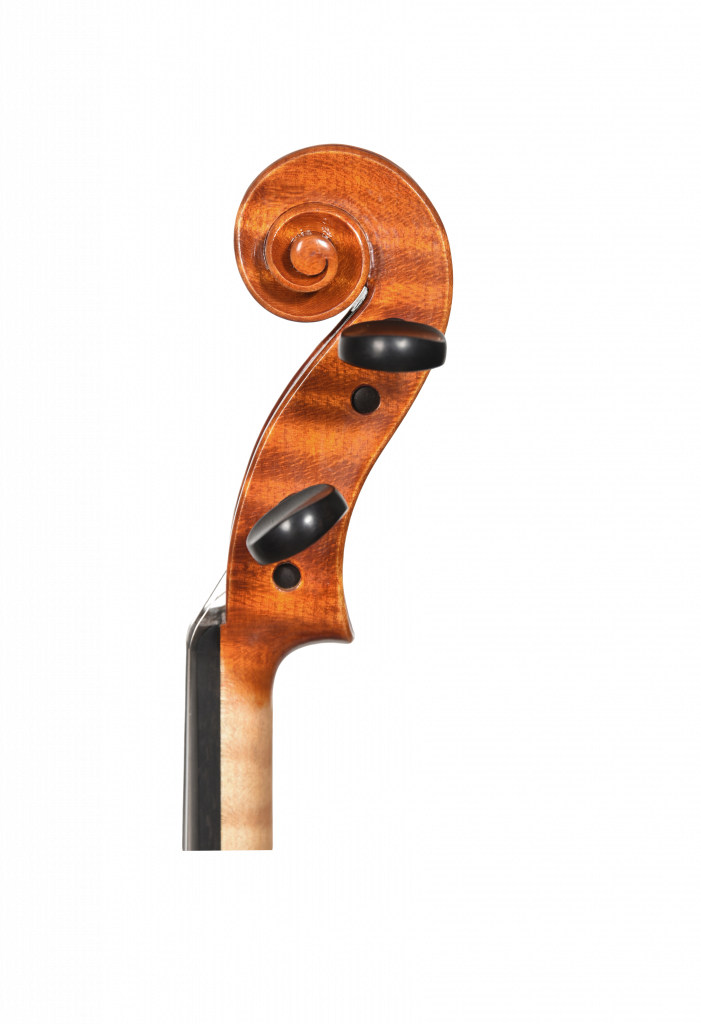 Riccio_02-05-2023 (1)