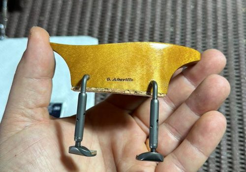 IMG_20240118_124502_426