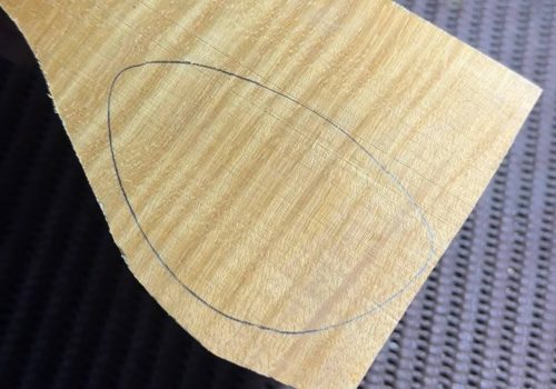 IMG_20240118_124502_801