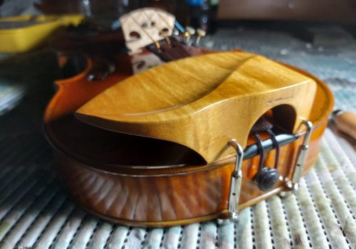 IMG_20240118_124528_086